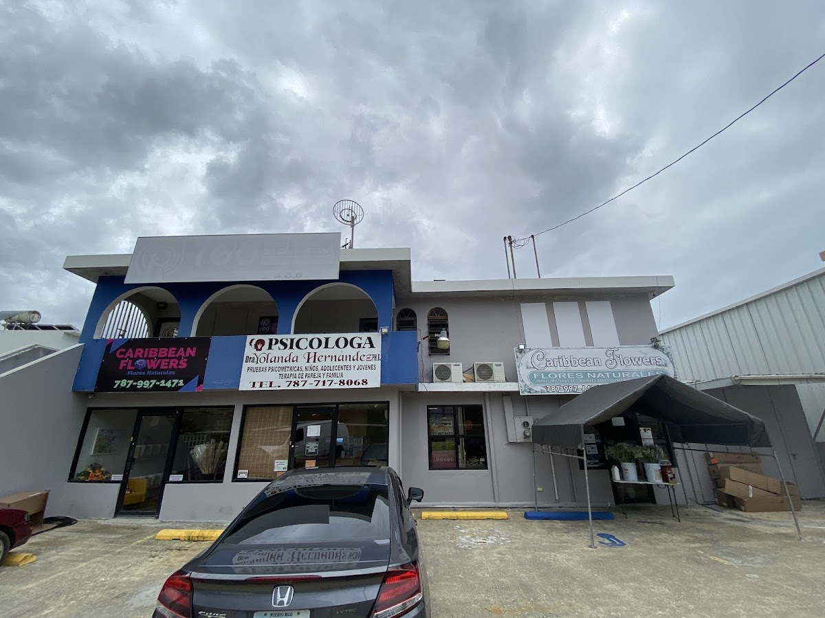 Arreglo floral para regalo — Caribbean Flower