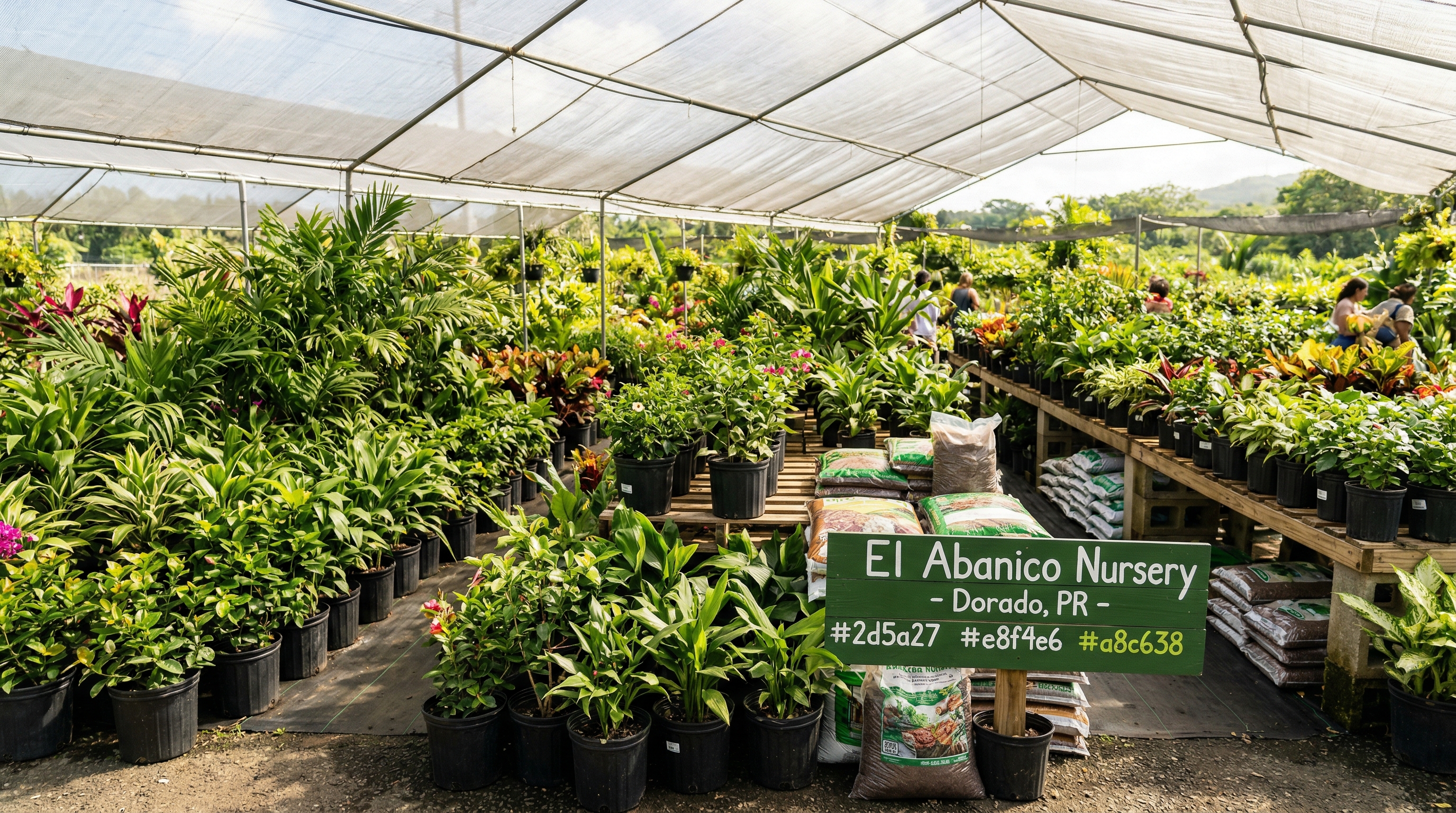 Vista del vivero El Abanico en Dorado, Puerto Rico
