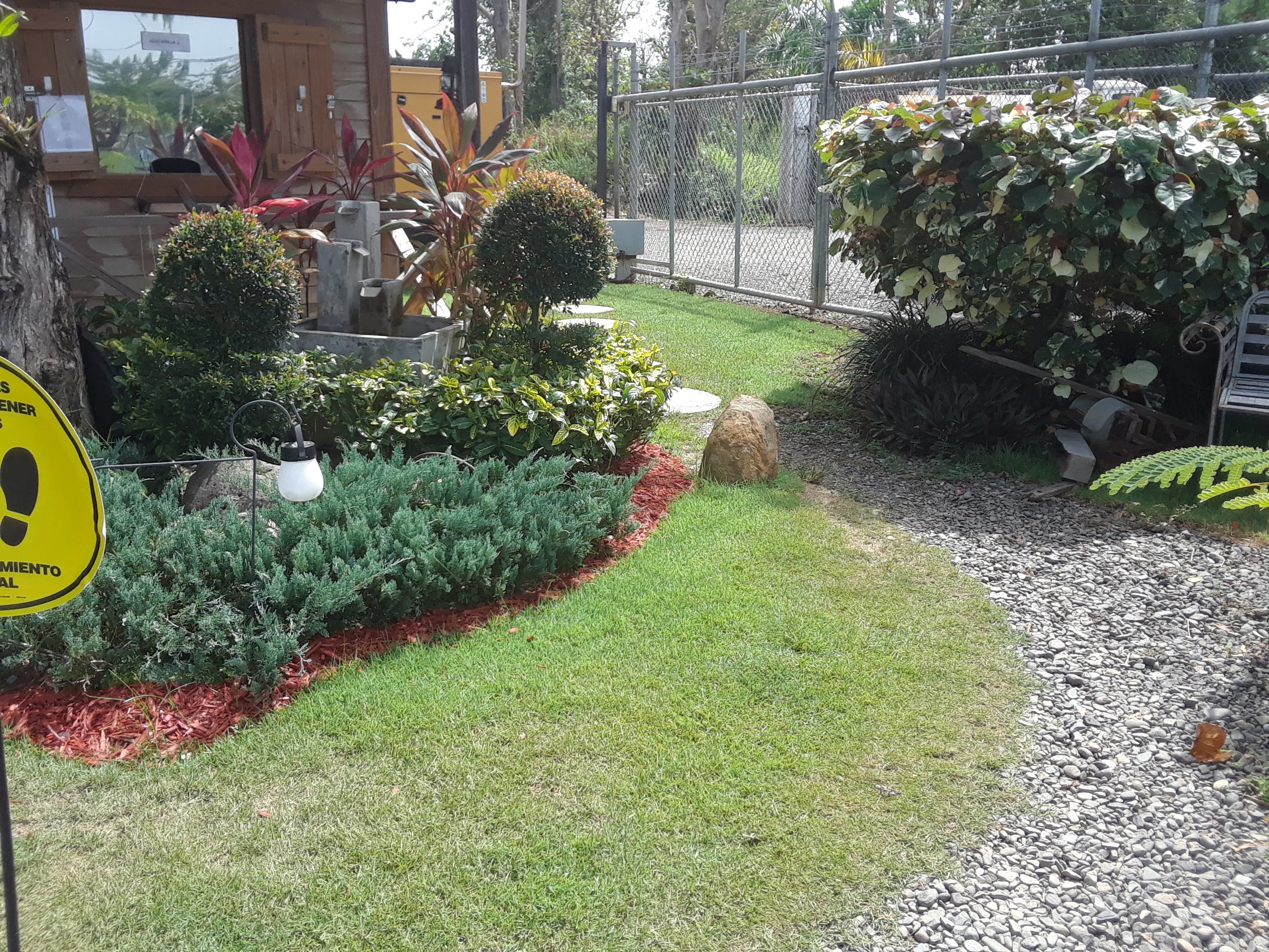 Plantas de interior en la floricultura