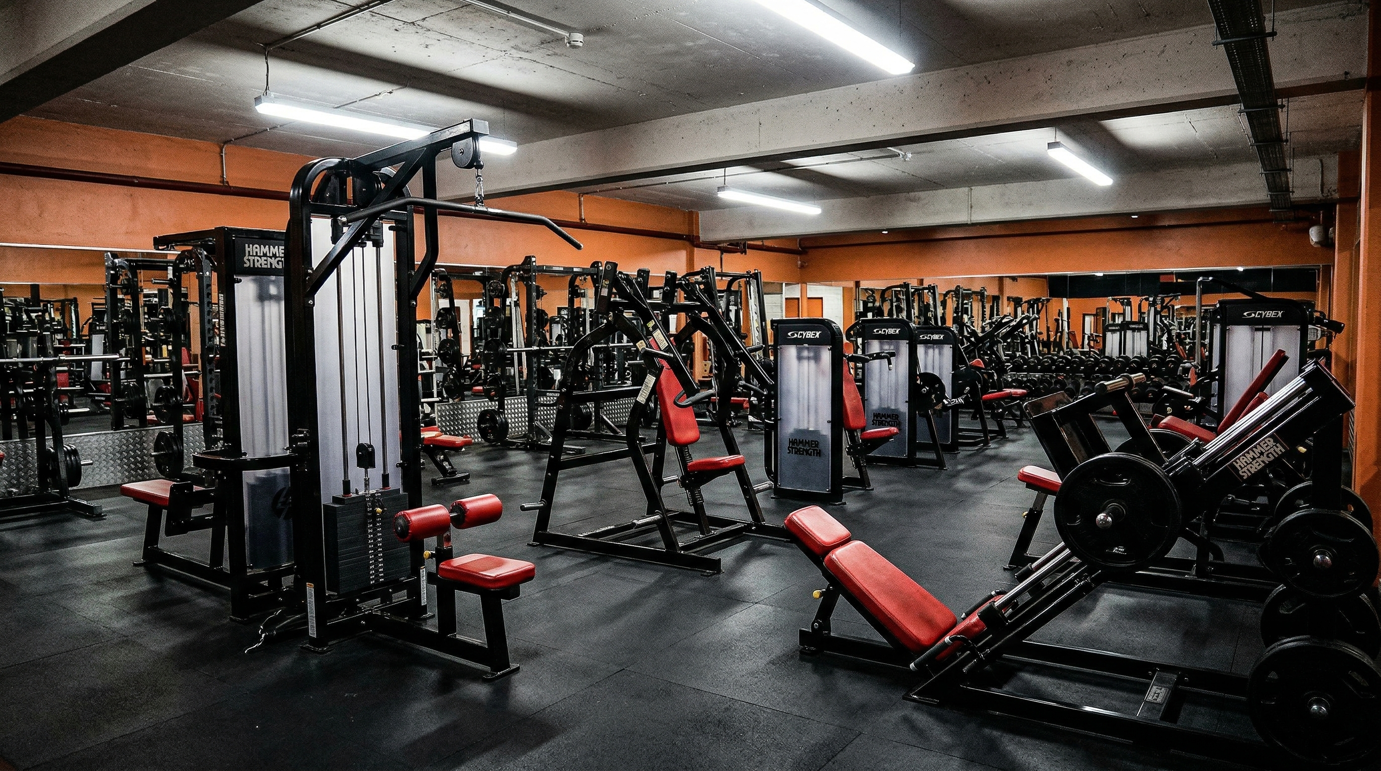 Elite equipment hall at Muscle & Fitness Gym