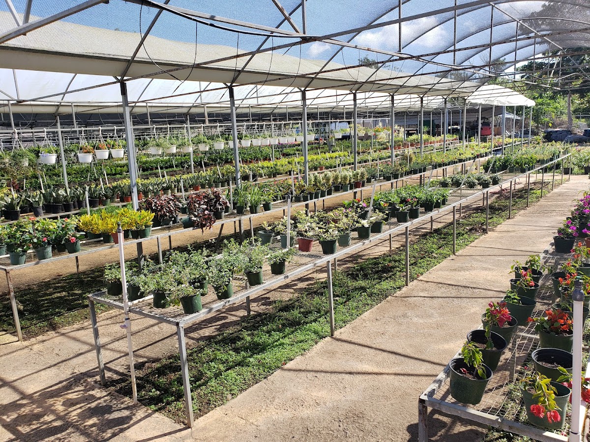 Vida verde — Plantas y Algo Más