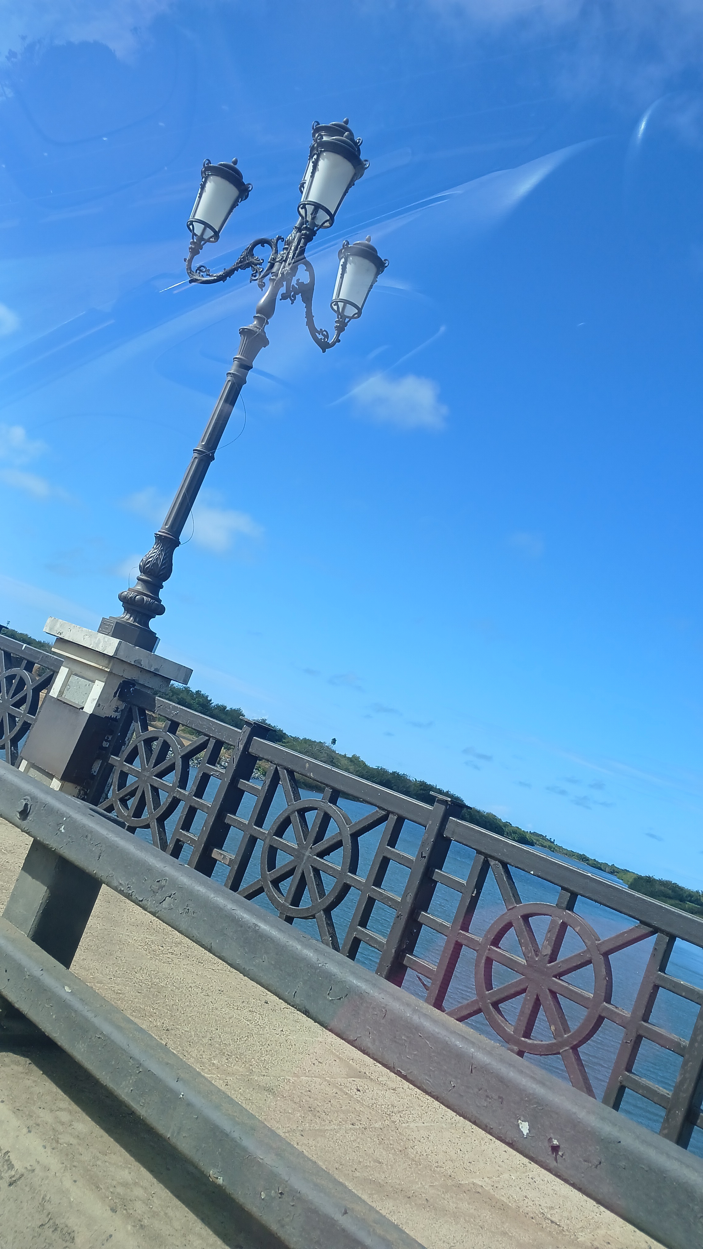 Producto French Tulip