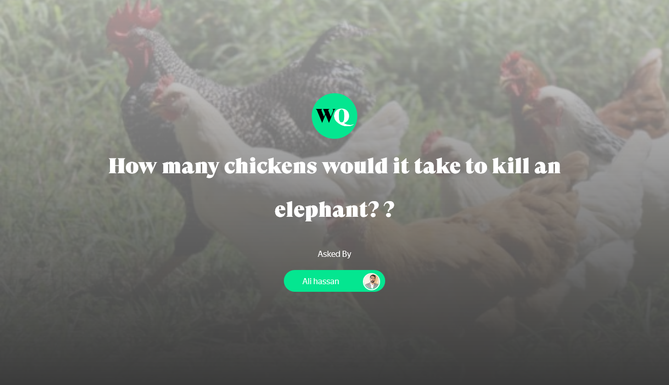 27 How Many Chickens Does It Take To Kill An Elephant 02/2024 Ôn Thi HSG