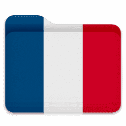 French flag folder