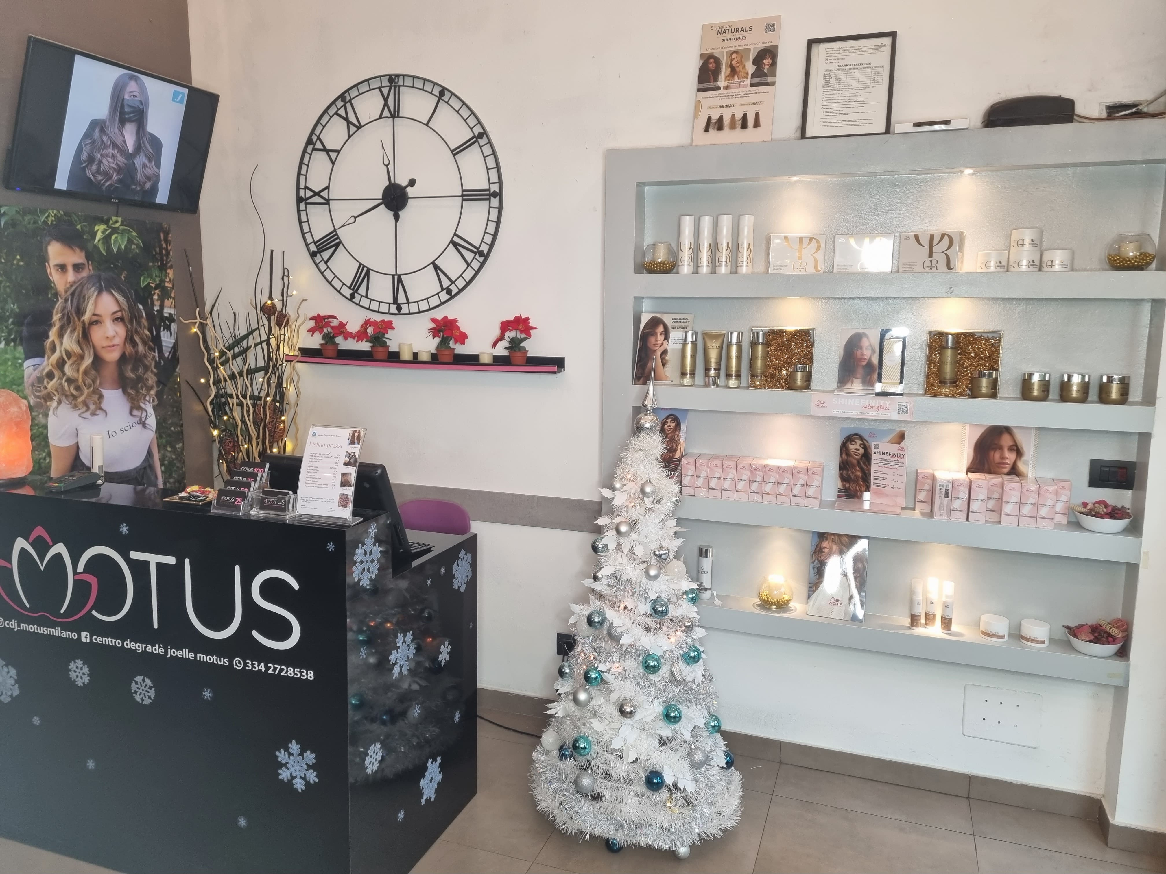 hairstylist Motus Di Favulli Patrizia