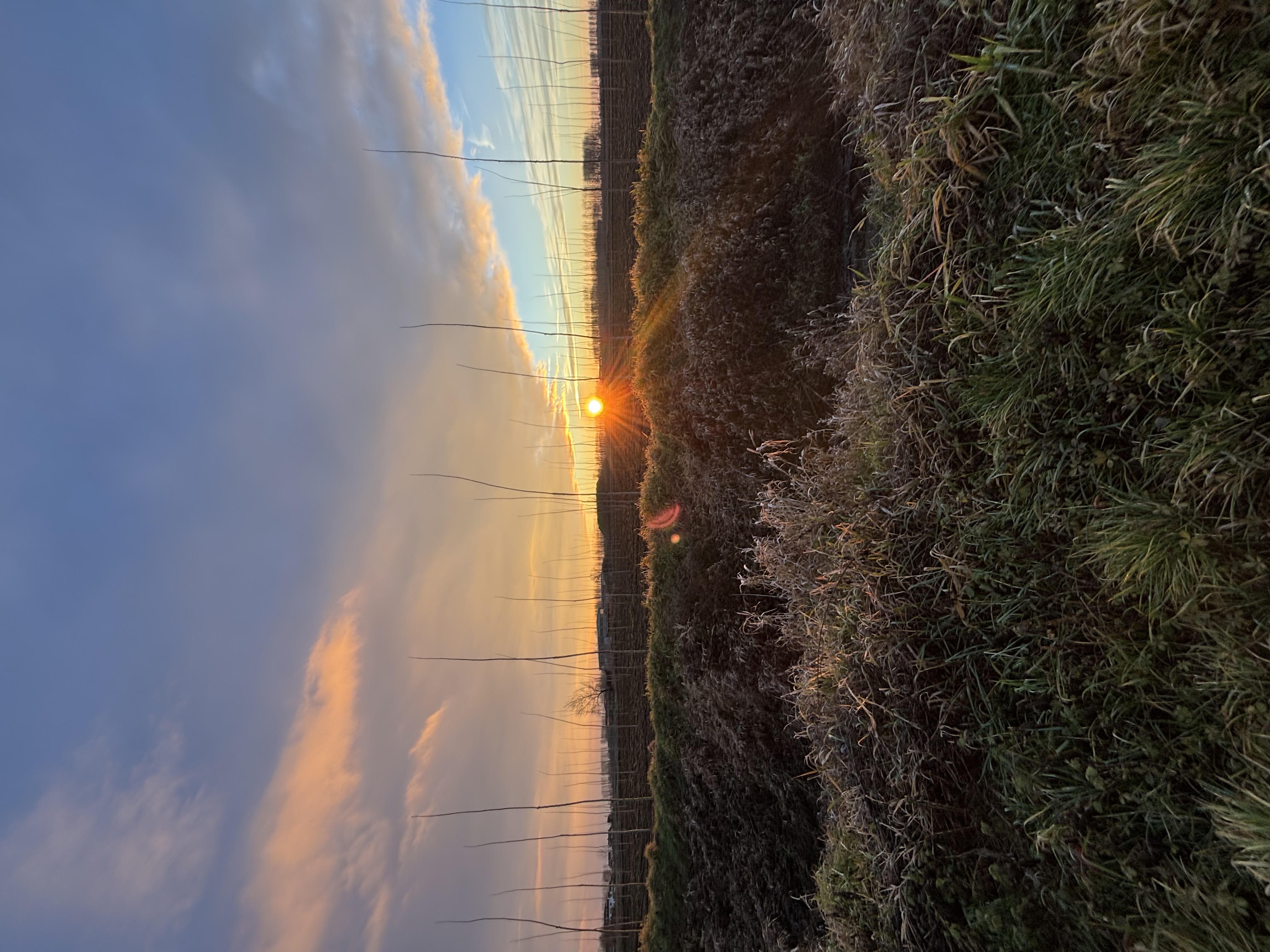 Percorso Urbano lungo città storiche della Lomellina