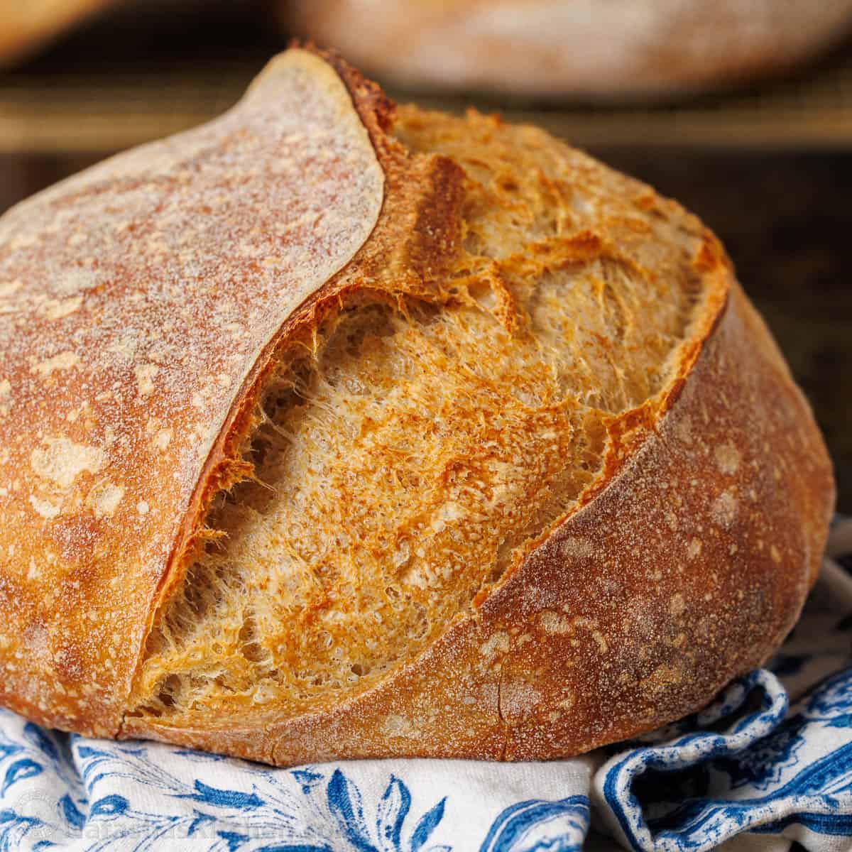 Sourdough Bread Recipe