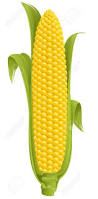 Corn on the Cob