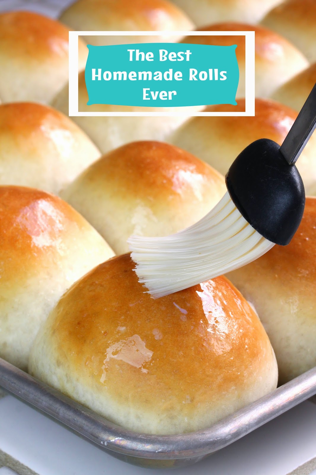 Best Homemade Dinner Rolls