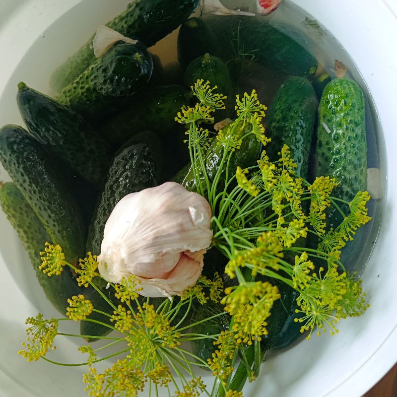 Ogórki malosolne 0,4 kg