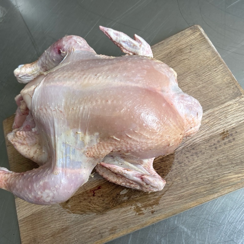 Brojlery 2,5 -3,0 kg
