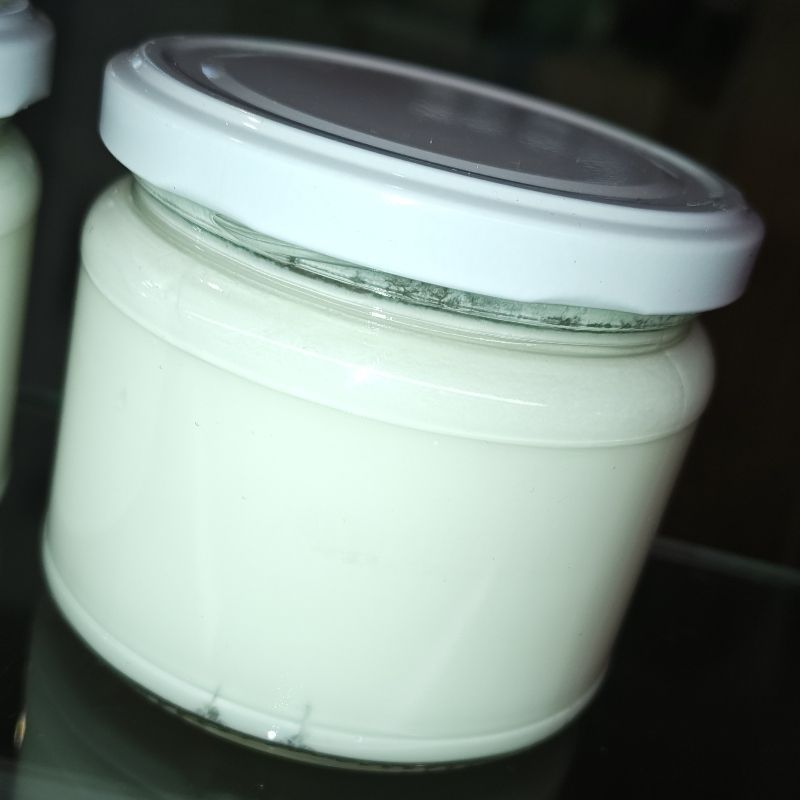 Jogurt kozi 