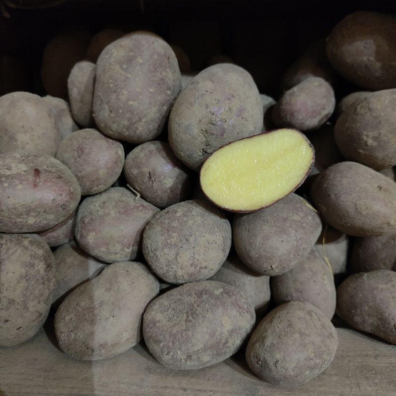 Ziemniaki 10 kg EKO z różową skórką