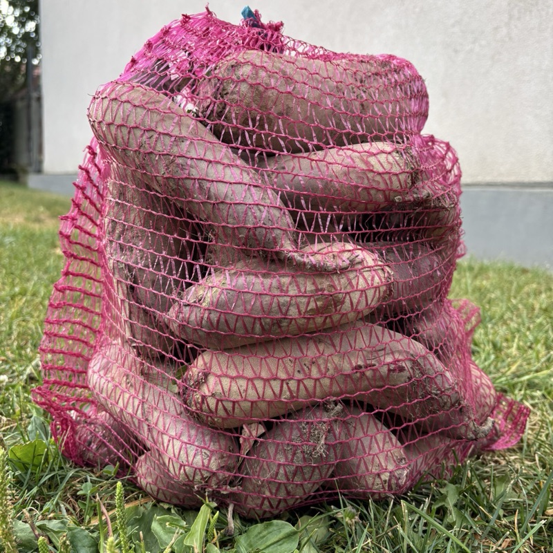 Buraki ćwikłowe (10kg)