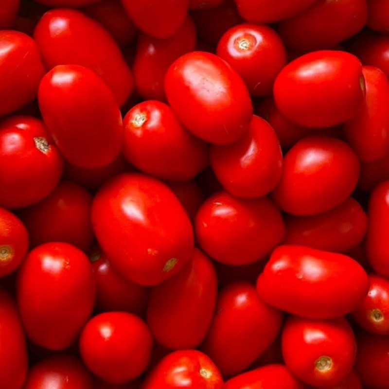 Pomidor