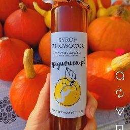 Logo sklepu Zpigwowca.pl