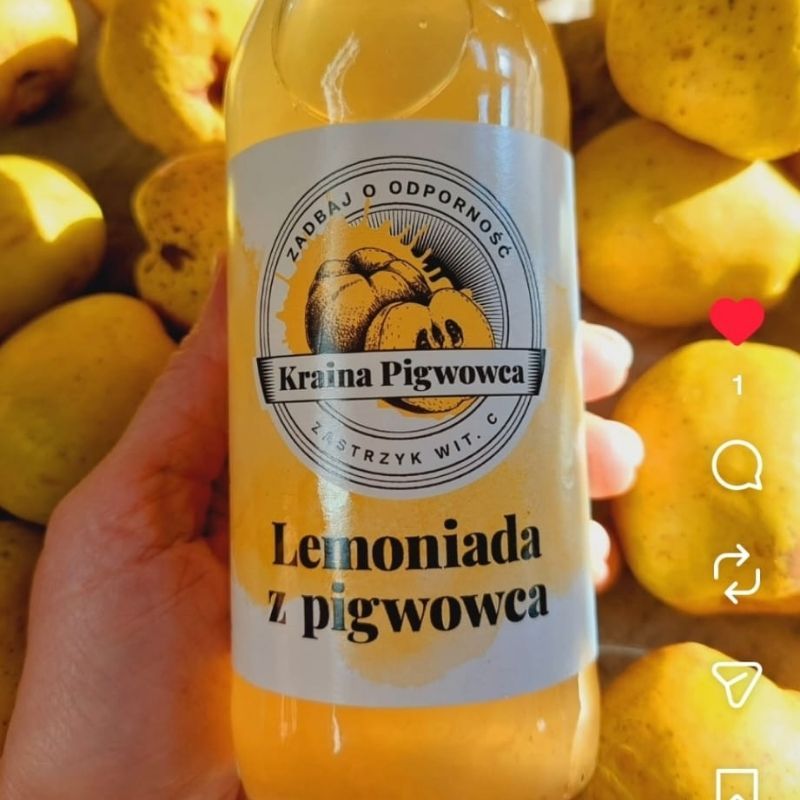 Lemoniada z pigwowca