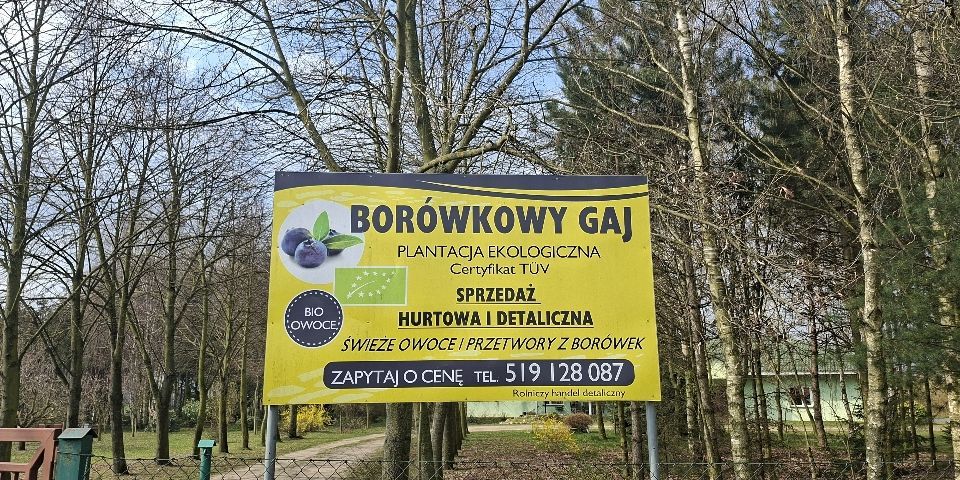Baner sklepu Borówkowy Gaj — Konarskie, Polska