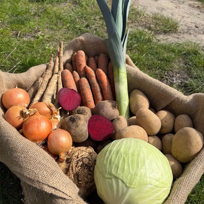 Koszyczek obiadowy z kapustą 7,5 kg