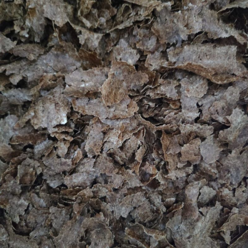 Makuch śruta wytłoki z ostropestu 1kg dla koni, kur, bydła