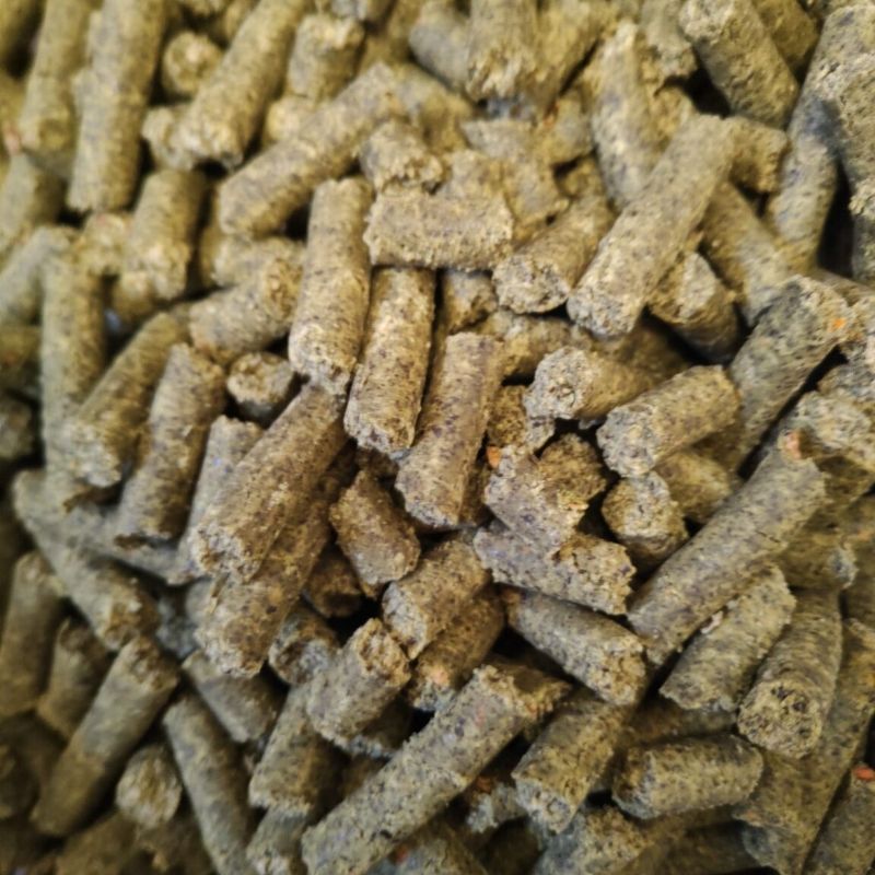 Makuch śruta wytłoki z pestek dyni 1kg dla kur, koni, bydła