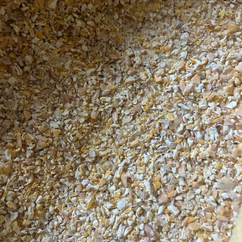 Kukurydza Gnieciona 20kg