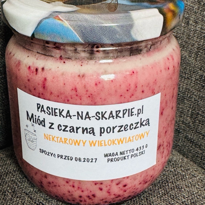 Miód leśny z czarną porzeczką