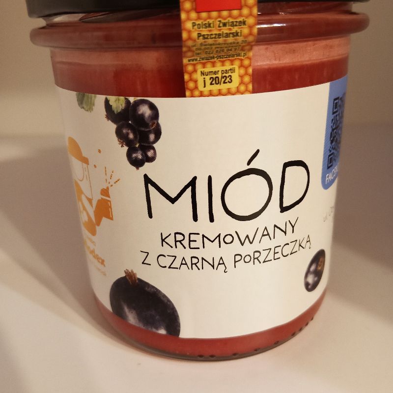 Miód z czarną porzeczką 