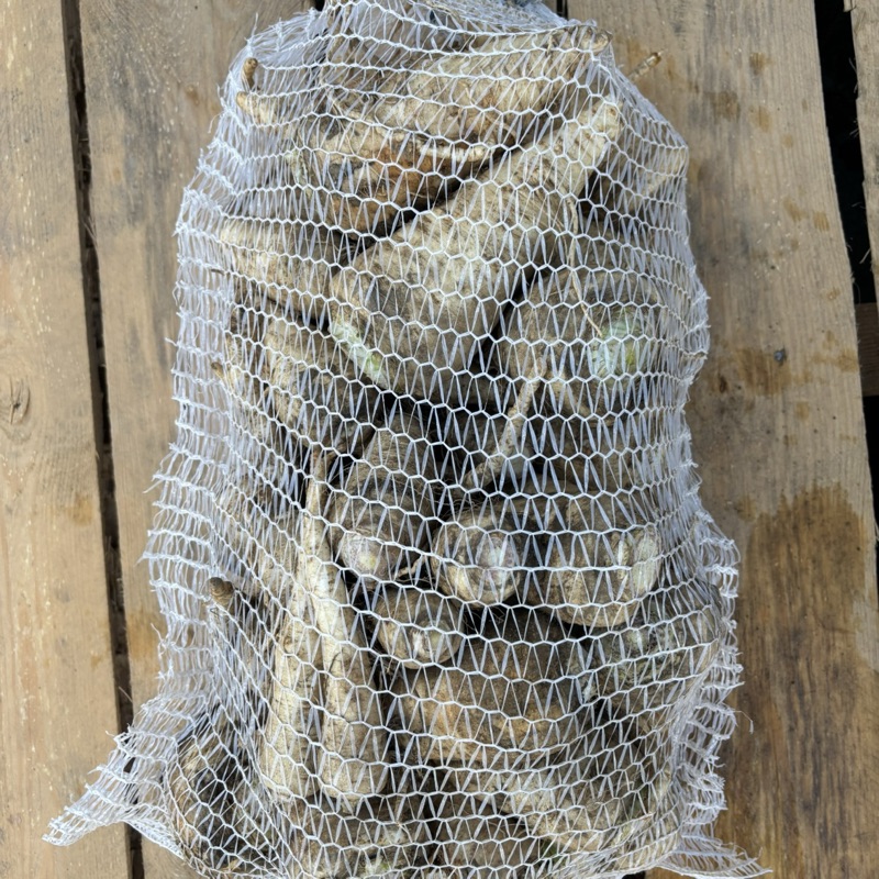 Korzeń pietruszki (5kg)