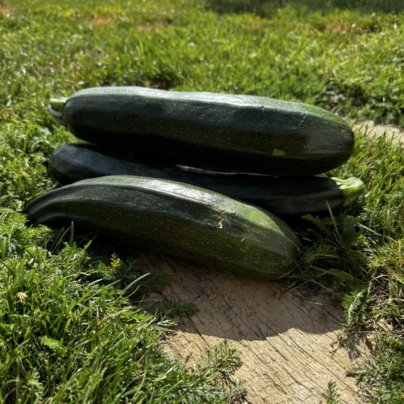 Cukinia