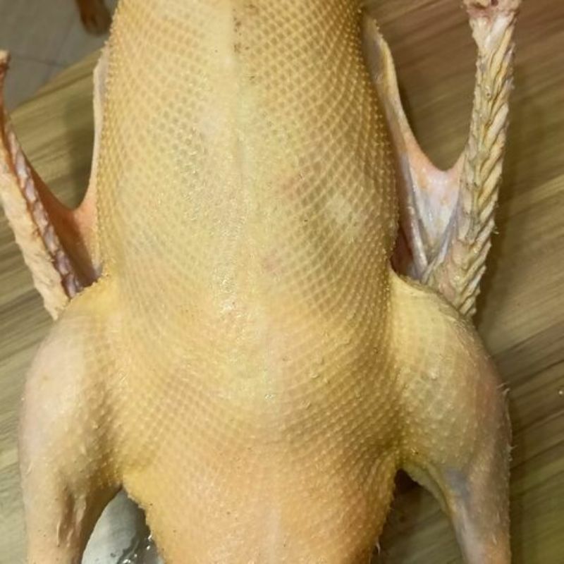 Gęś tusza