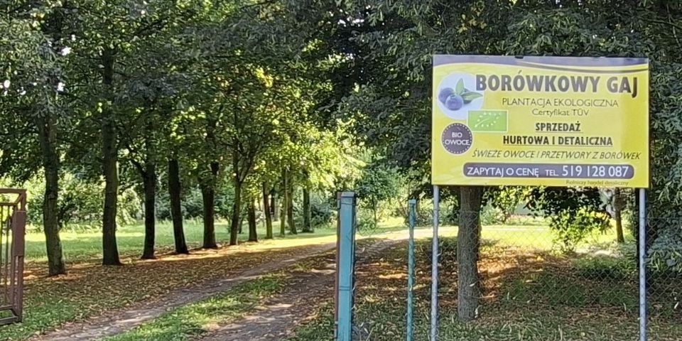 Baner sklepu Borówkowy Gaj — Konarskie, Polska