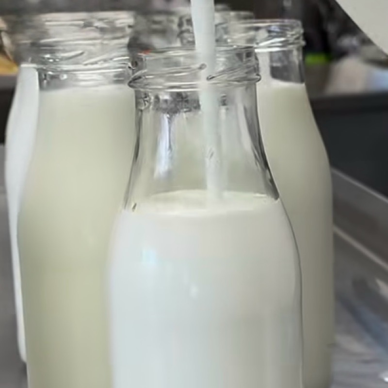 Kefir kozi