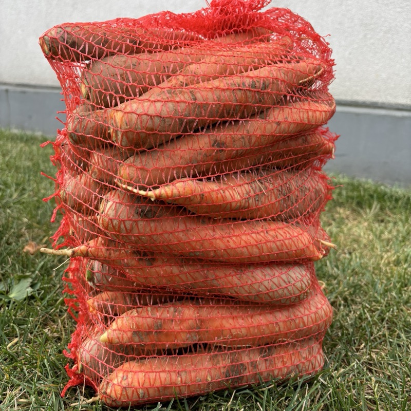 Marchew (10kg)