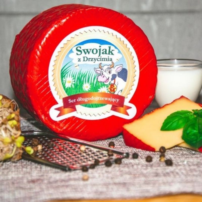 Swojak z Drzycimia 
