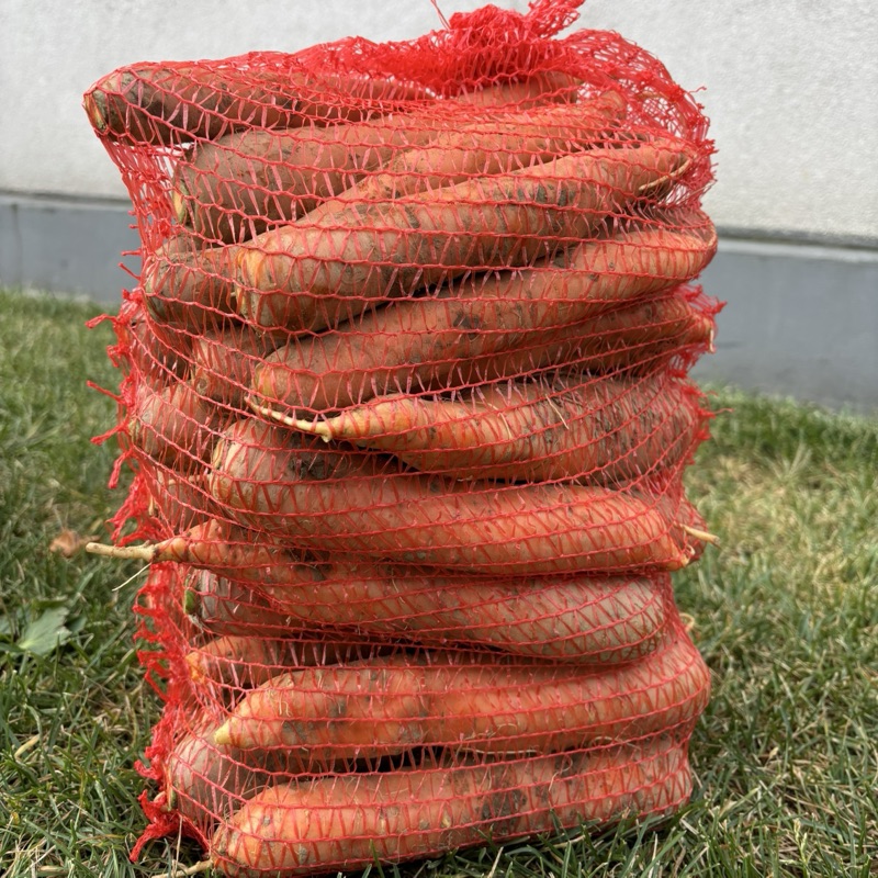 Marchew (5kg)