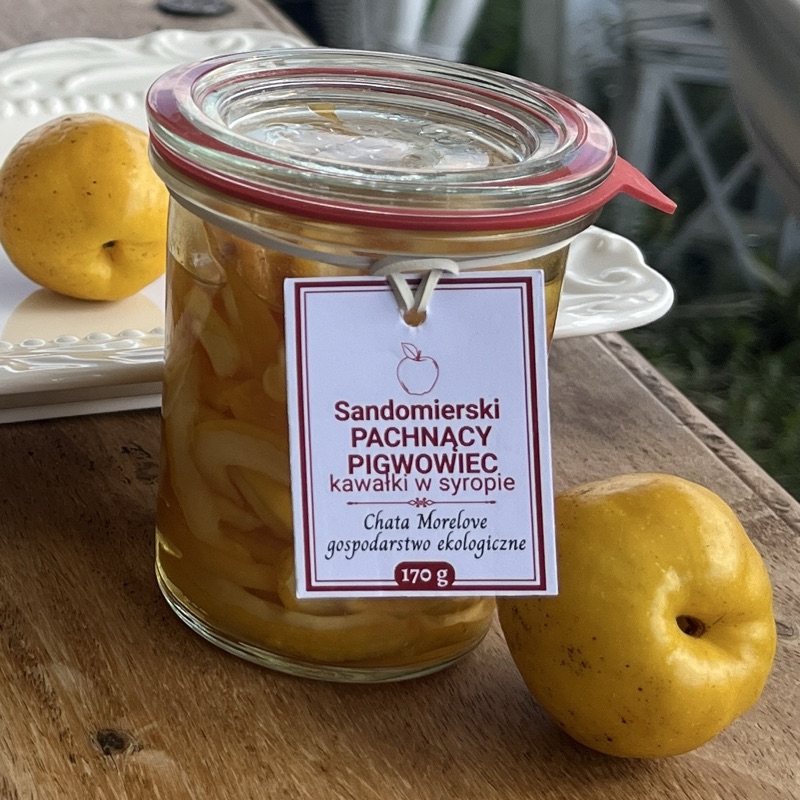 Pigwowiec w syropie do herbaty 