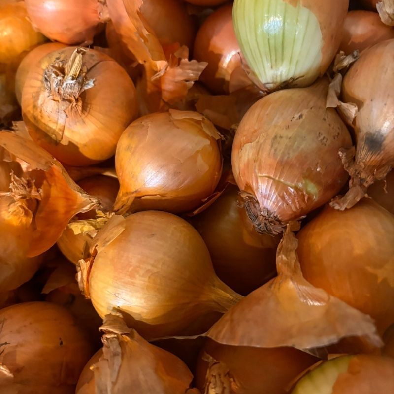 Cebula - 3kg