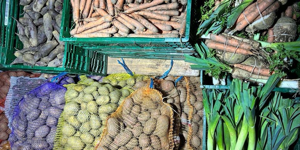 Baner sklepu Gospodarstwo Natura Suchanek Natalia — Domecko, Polska