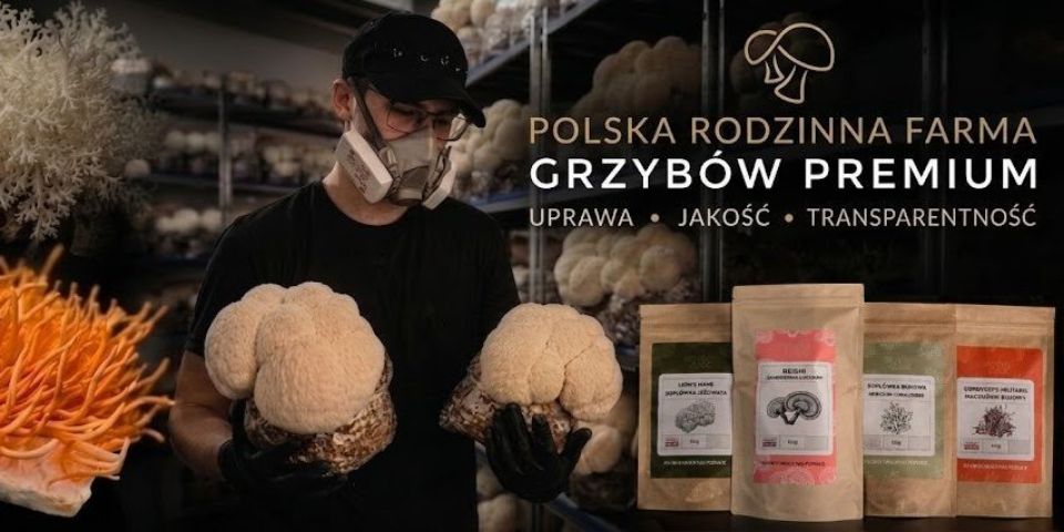 Baner sklepu Grzybomoc - grzyby funkcjonalne, świeże i suszone — Pogwizdów, Polska