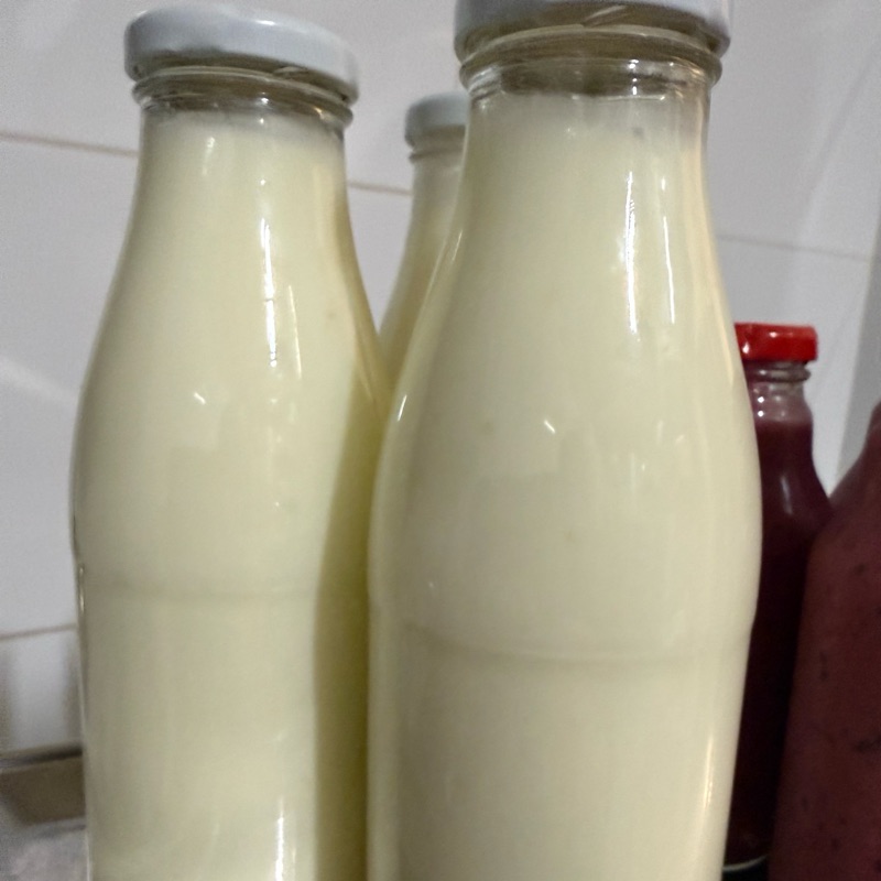 Kefir z mleka A2A2