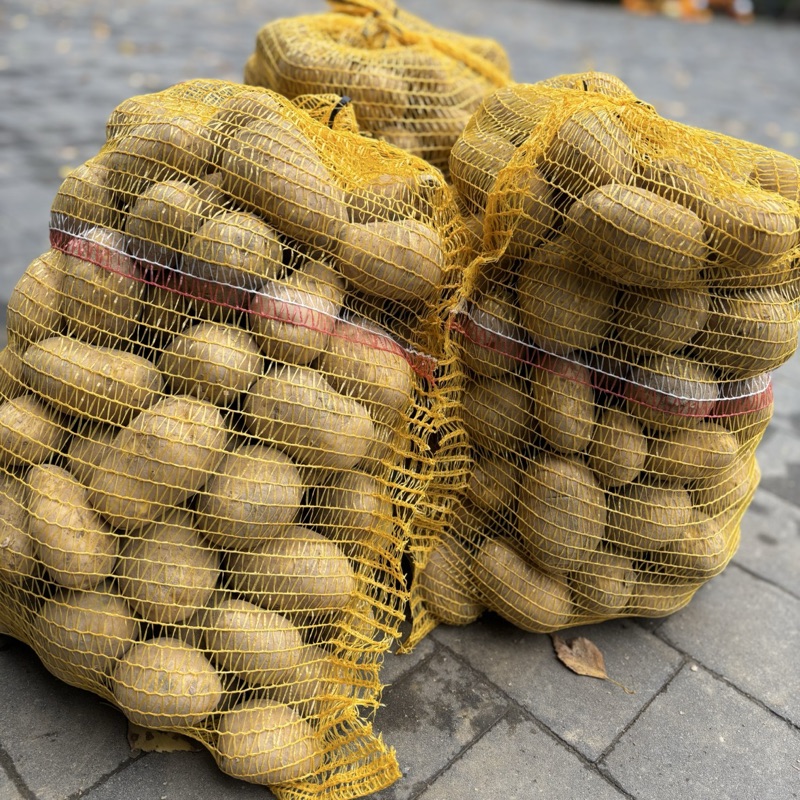 Ziemniak Werbena (15kg)
