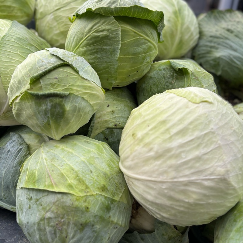 Kapusta (do 2kg)