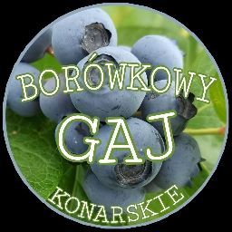 Logo sklepu Borówkowy Gaj