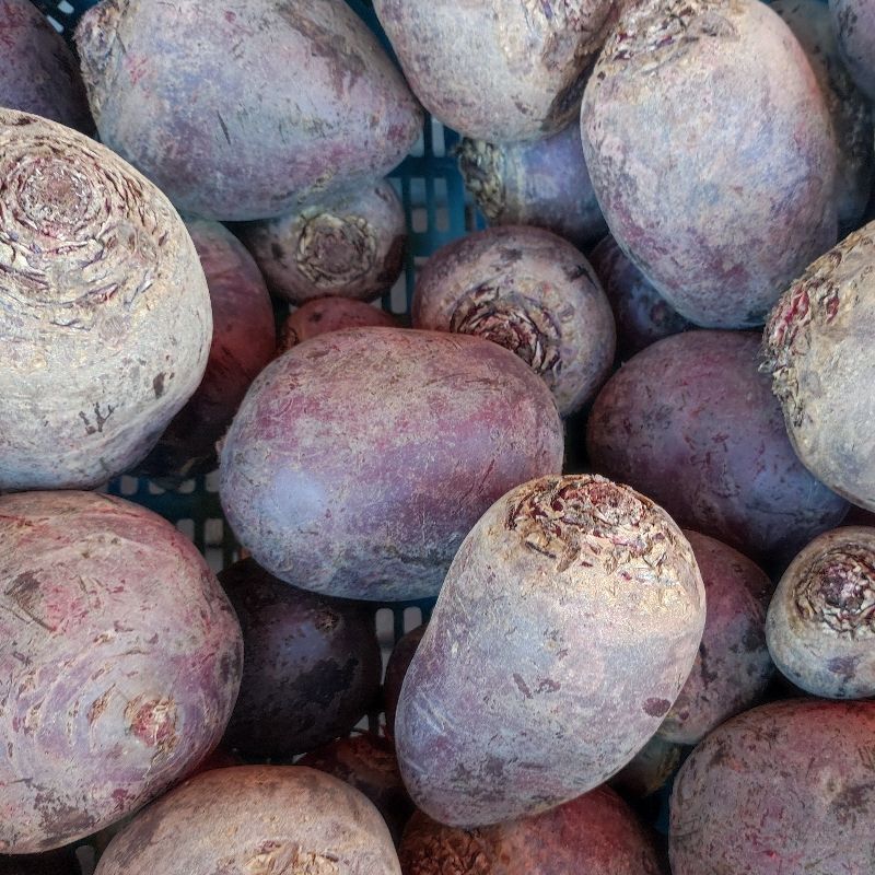 Buraki