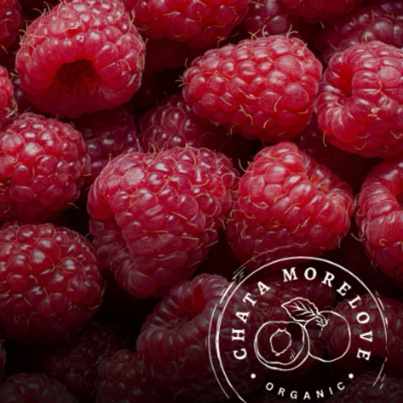Maliny organiczne Sandomierskie świeże