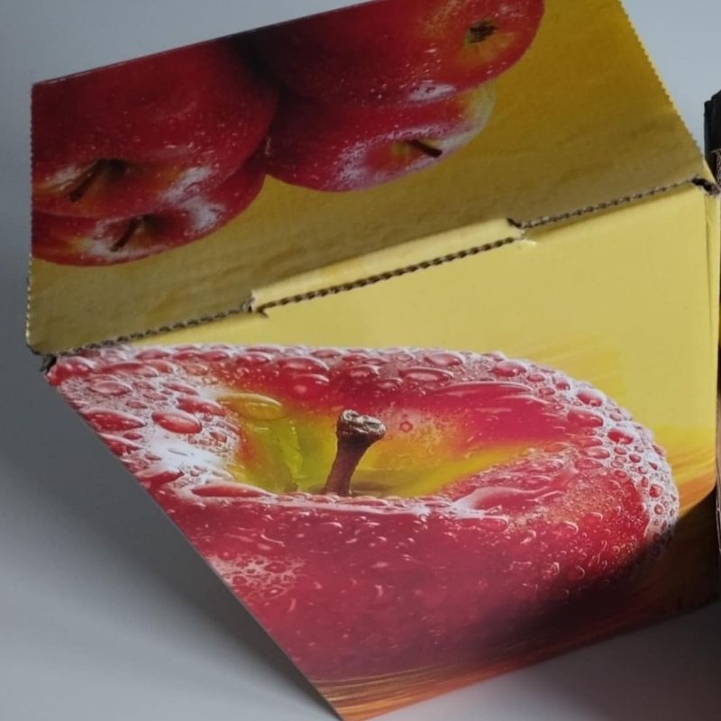 SokBox 4 Smaków 4x3L