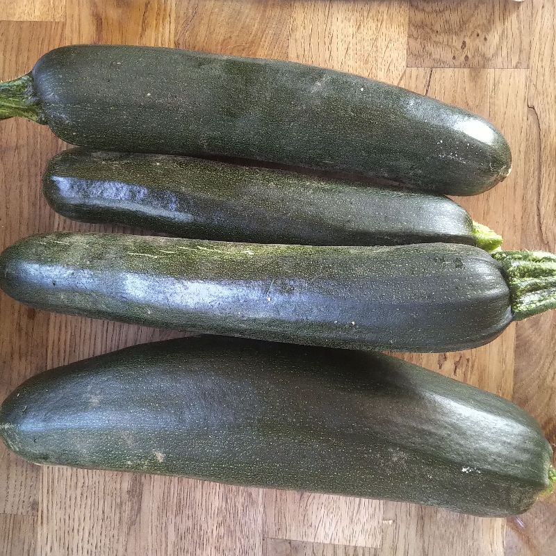 Cukinia 1 kg