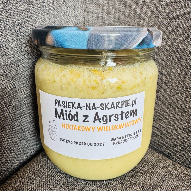 Miód leśny z agrestem