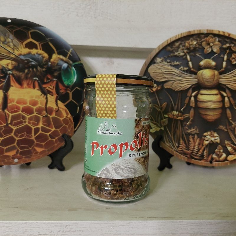 Propolis (kit pszczeli)